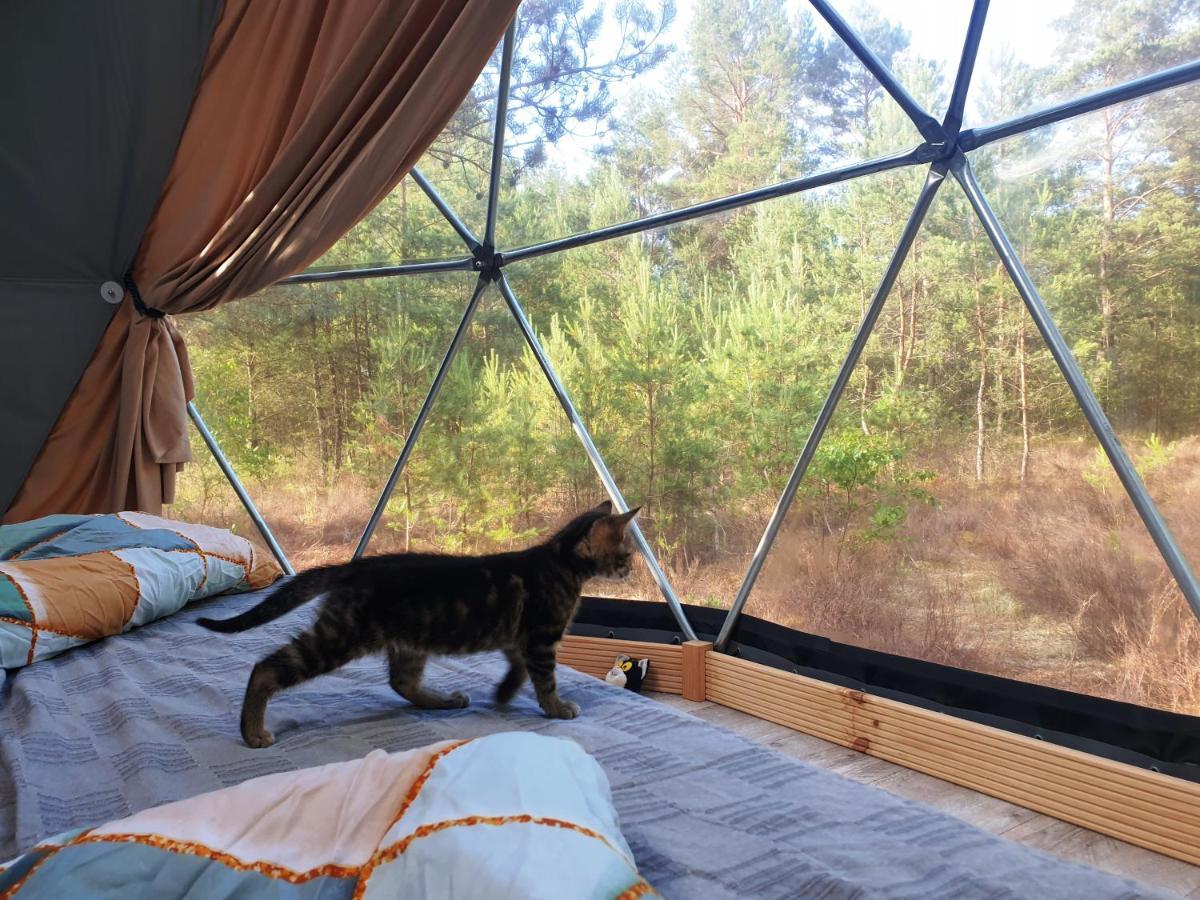 Отель Podniebny Glamping Борск Экстерьер фото